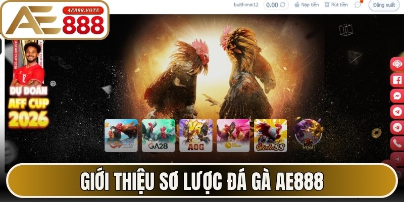 Đá Gà AE888 - Đấu Trường Chọi Kê Trực Tuyến Mượt Mà 1 Giới thiệu sơ lược đá gà AE888