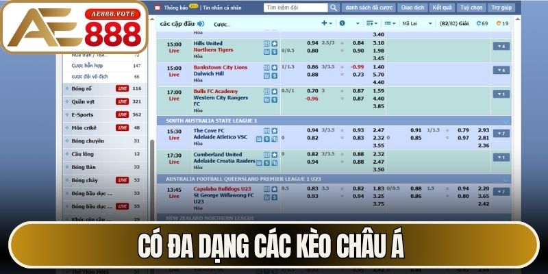 Kèo Châu Á - Hướng Dẫn Đọc Tỷ Lệ Cược Chuẩn Xác Nhất 2 Có đa dạng các kèo Châu Á