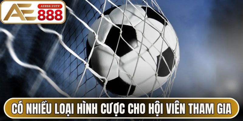 Kèo Tài Xỉu - Hướng Dẫn Phân Tích Chuẩn Nhất Tại AE888 3 Có nhiều loại hình cược cho hội viên tham gia
